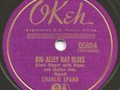 BLUES - CHARLIE SPAND 