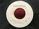 SOLID FOUNDATION / HOUSE IS NOT A HOME ROOTS REGGAE RARE 45 DAN-ITES