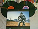 PINK FLOYD Delicate Sound of Thunder VINYL LP promo record 1st Ed.1988 album EX+