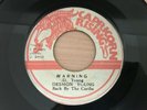 DESMON YOUNG / WARNING ROOTS REGGAE KILLER 45 WICKED SHOT