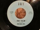Rare Northern Soul 45-The BLUE JAYS-That Feelin'/Point Of View-Jay 4815-SVG-1965