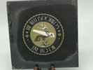 THE AVETT BROTHERS LIVE AND DIE AND THE CLEARNESS IS GONE NIP RECORD