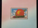 THE ALLMAN BROTHERS BAND 