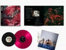 FOALS- Everything Not Saved Will Be Lost Part 1 -SIGNED Art COLLECTORS EDITION