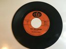 TAMPA Florida Garage Fuzz Psych 45 - The Split End= Rich With Nothin-Endless Sea