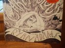 Ryan Adams & the Cardinals Cardinology ,lp + 7