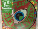 13th FLOOR ELEVATORS Psychedelic Sounds Mono LP Vinyl Picture Disc RSD 2019