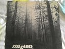 The Cure, A Forest 12