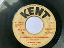 Elmore James 45 
