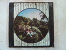 grateful dead dark star born crosseyed 45rpm record sleeve only  w 7186