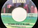 THE KITTENS THREE 45 