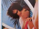 CAETANO VELOSO Araca Azul RE BRAZIL PYSCH POP LP NM- HEAR