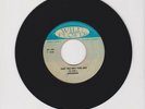WILD FLOWER/ JUST THE WAY YOU ARE - BRENNAN  (78 REGGAE ROCKERS 7
