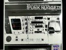Punk Nuggets 1974-1982 NOT GOOD FOR YOUR HEALTH , Double LP, WHITE VINYL (2018)