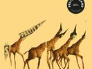 FELIX LABAND - BAG OF BONES EP (LUKE VIBERT REMIX)   VINYL LP SINGLE NEW