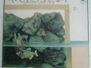 Rare Jazz-Rock LP ROCK WORKSHOP The Very Last Time/CBS S 64394 (1971) (EX+)