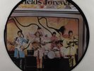 BEATLES Strawberry Fields Forever LP VG+ uk picture disc