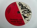 NAIROBI SISTERS: PROMISED LAND 1975 JAMATEL 45 RPM RARE REGGAE SKA