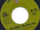 Monster Harmony - COOL SOUNDS - Boy Wonder (Who Made Good) / Free - Warner Bros.
