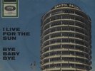 THE SUNRAYS: I Live For The Sun (´65 / scarce orig. German 7