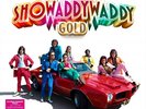 SHOWADDYWADDY-GOLD (UK) VINYL LP NEW