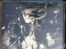 Fields Of The Nephilim ?– Elizium  Vinyl LP Top Zustand