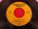 The BEAUTIFUL DAZE 1968 HEAVY PSYCH 45 City Jungle PEACEPIPE Dragonfly HEAR IT