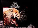 MINTY  1970 FLEETWOOD MAC PETER GREEN ? END OF THE GAME ? Hard UK BLUES Psych