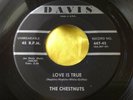 Scarce Doo Wop 45 : The Chestnuts   Love Is True   It's You I Love   Davis 447