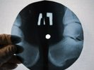 Elvis Presley Hound Dog X Ray USSR Vinyl Record Music on Bones Roentgen