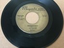 The Castiles - Enchantment/Ecstasy * Magenta Exotica 45