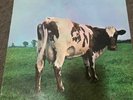 PINK FLOYD - ATOM HEART MOTHER - Australia