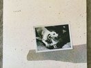 Fleetwood Mac Tusk vinyl 1979