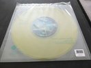 Pink Floyd Tribute Band - If You Were In The Middle Vinyl LP