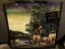 Fleetwood Mac - Tango in the Night, Sealed, Hype Sticker, Club, Rare, Vinyl