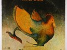 Rare Bird - S/T LP - ABC-Probe VG+