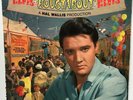 Elvis Presley - Roustabout - 1964 - Vinyl Record LP Mono LPM-2999
