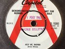 THE BEACH BOYS: DEMO COPY 