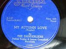 DANDERLIERS doo-wop 78 MY AUTUMN LOVE on Strong VG+ STATES b/w CHOP BOOM TB1115