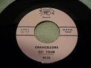 Chancellors 45 