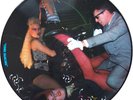 Frankie Goes To Hollywood ?– Relax. Picture Disc 12