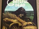 Wake of the Flood [180 Gram Vinyl] [Limited Edition] by Grateful Dead (Vinyl, Fe