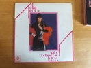 JUDITH DURHAM/SEEKERS-THE HOTTEST BAND IN TOWN-VOL-2-PYE RECORDS-NSPL-18442-1974