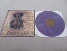 Dinosaur Jr - Bug LP Purple Marbled Vinyl SST Records SST216 Nirvana Husker Du