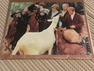 The Beach Boys, Pet Sounds Vinyl, Very RARE-Made In USA