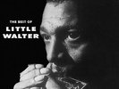 Little Walter - The Best Of Deluxe Gatefold Edition VINYL LP DOL944HG