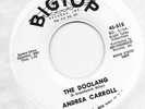 Andrea Carroll 