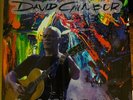 DAVID GILMOUR, KEEP ON RATTLE THAT LOCK, ORANGE COLORED VINYL LP, NEW IMPORT