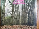 TWINK Think Pink 2XLP SUNBEAM RSD 2019 Played Once