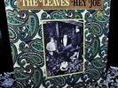 MONO 1966 ORIG   THE LEAVES   HEY JOE   HIP SUNSET STRIP FUZZ GARAGE FOLK ROCK